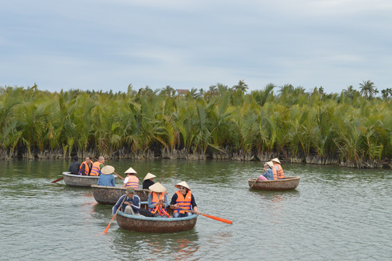 Giao 50 ha rừng dừa nước cho cộng đồng bảo tồn, phát triển du lịch