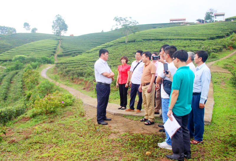 Khảo sát mô hình nông nghiệp gắn với du lịch tại Hải Hà (Quảng Ninh) 