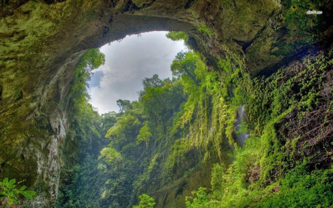 Quảng Bình phát hiện 44 hang động mới ở Phong Nha - Kẻ Bàng
