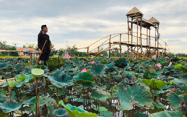 Nông dân Vinh Ba huyện Tuy Hòa (Phú Yên) trồng sen làm du lịch