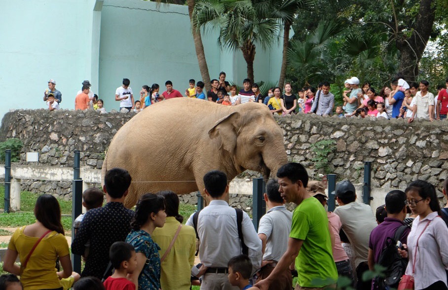 Vườn thú Hà Nội được công nhận là điểm du lịch