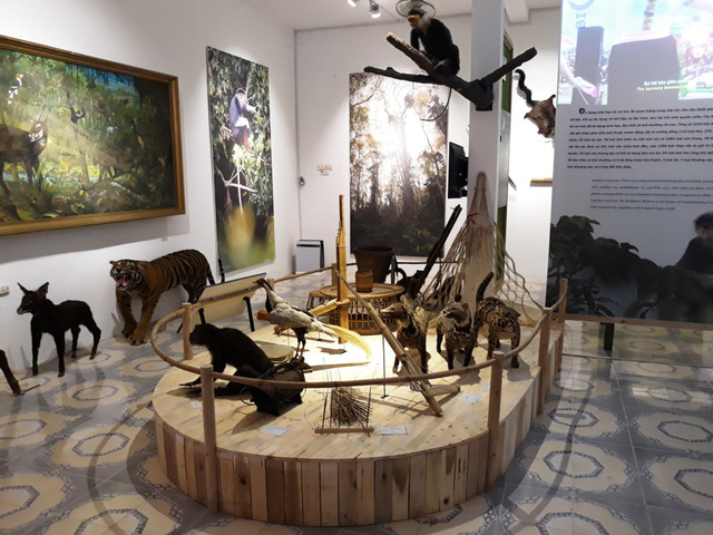 Ra mắt Bảo tàng Thiên nhiên Văn hóa mở tại Nghệ An