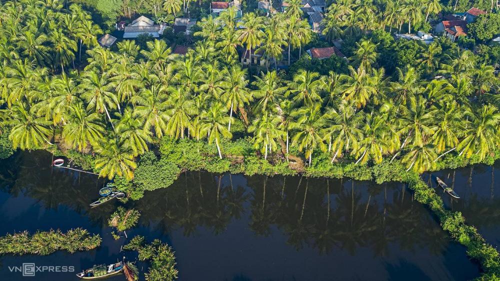 Khám phá rừng dừa nước nằm ngay bờ biển Mỹ Khê – Quảng Ngãi